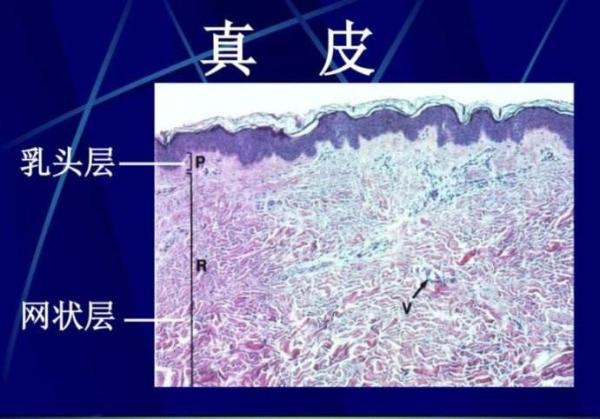 bet356体育在线官方网站